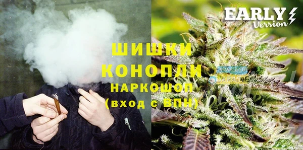 ECSTASY Каменка