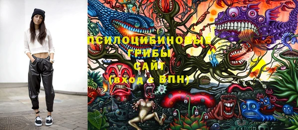 PSILOCYBIN Каменск-Шахтинский