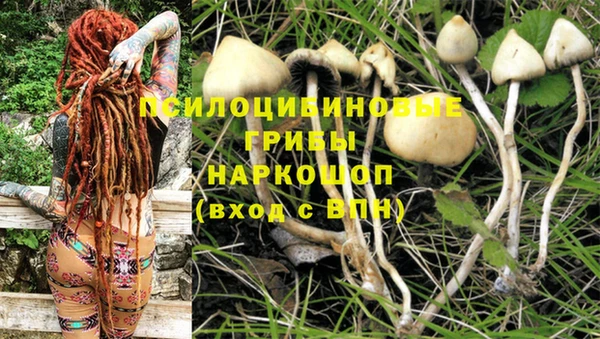 ECSTASY Каменка